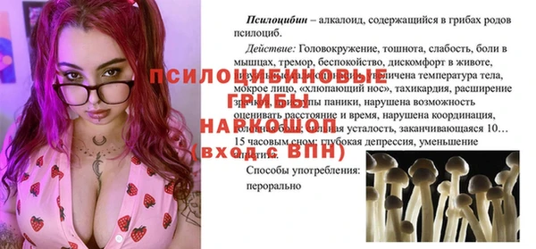сатива Абдулино