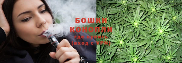 сатива Абдулино