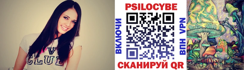Псилоцибиновые грибы Psilocybine cubensis  Новое Девяткино 