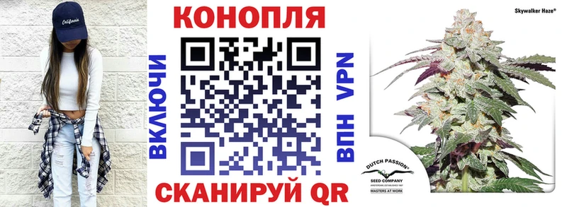 Конопля Amnesia  где продают   Новое Девяткино 
